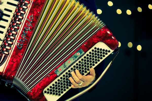 accordion1