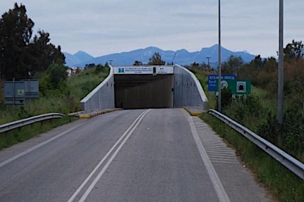 aktio5