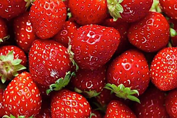 strawberries1