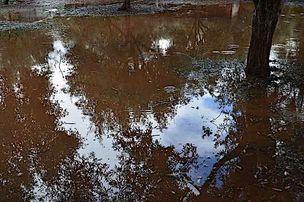 flood7