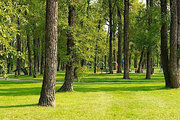 park3