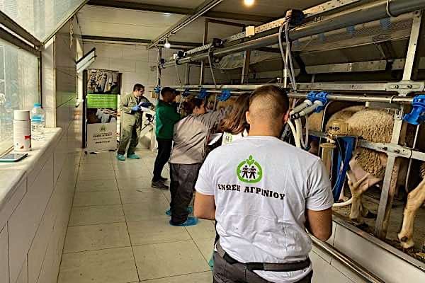 veterinary1