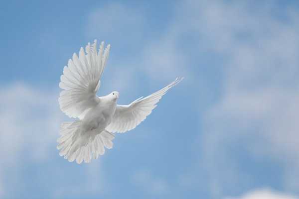 holyspirit1