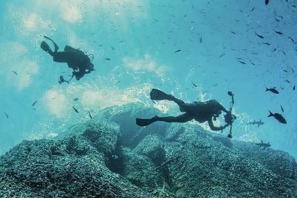 sea10dive