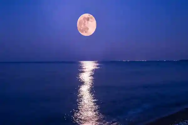 moontourlida1