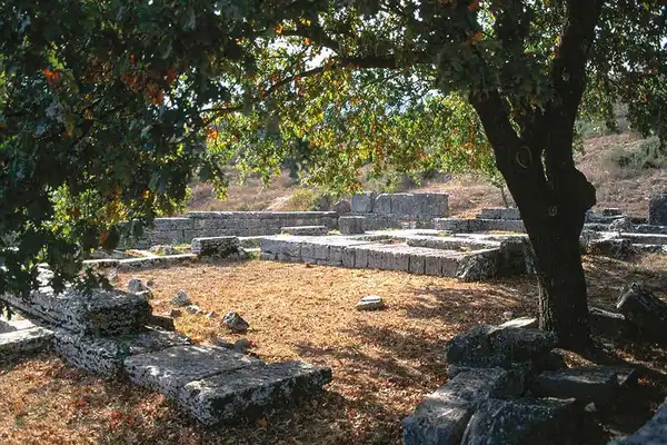 velanidodasos5