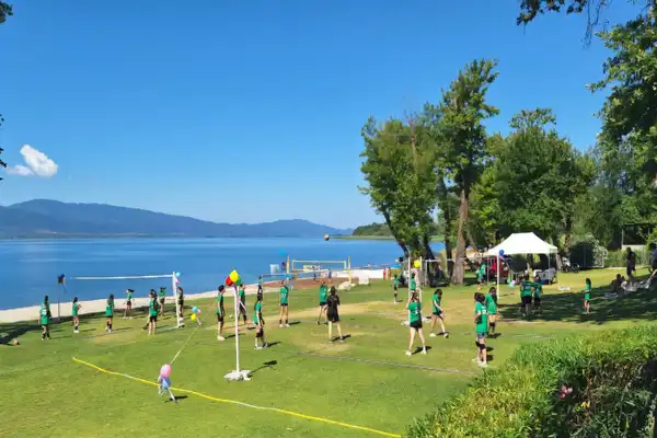 volleytrichonida5